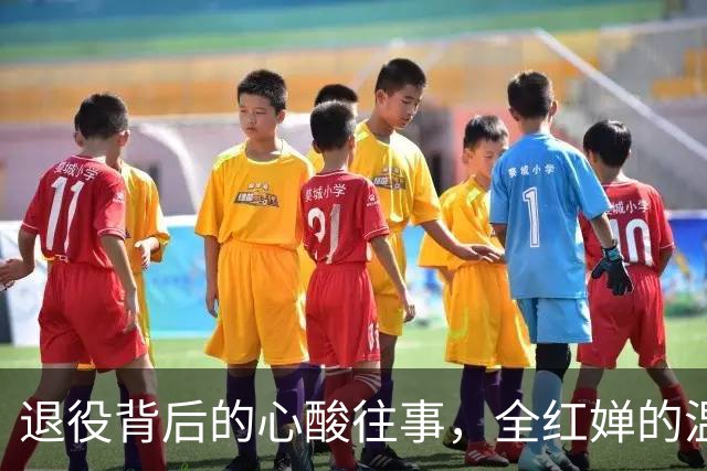 退役背后的心酸往事，全红婵的温暖举动赢得全网赞誉